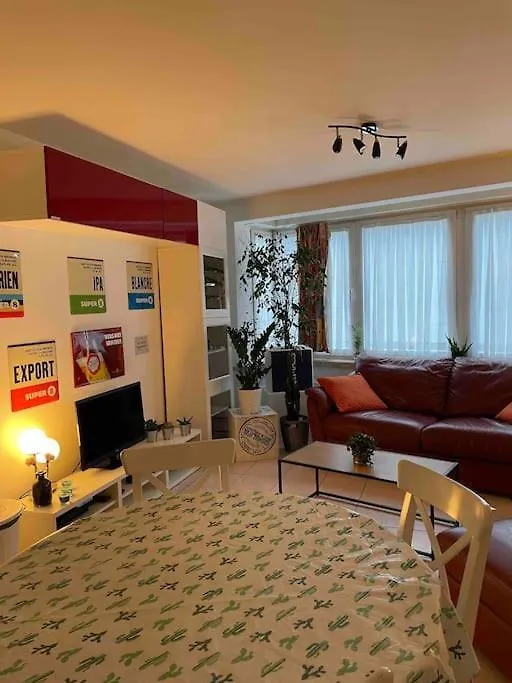 Apartmán Appartement 90M2 Op 70M Van Het Strand. Ostende Belgie